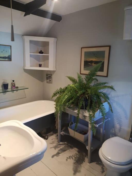 Heath Cottage Lower Southrepps North Norfolk كرومر المظهر الخارجي الصورة